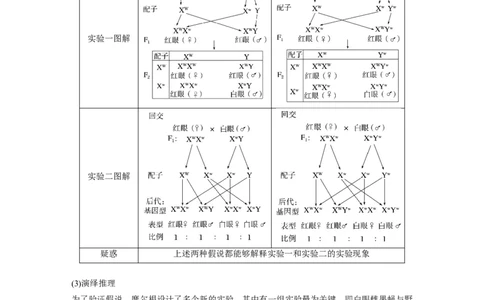 2023年高考生物一轮复习（新人教新高考）第5单元第5课时　基因在染色体上的假说与证据_新高考复习资料_2023年新高考复习资料_一轮复习_2023年新高考大一轮复习讲义