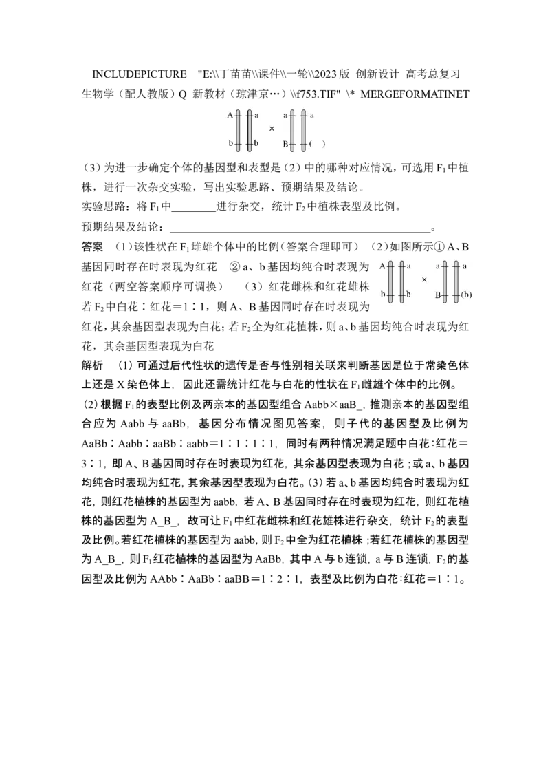 模块检测卷（二）_2024年新高考资料_1.2024一轮复习_2024年高考生物一轮复习讲义（新人教版）_另附1套Word版题库