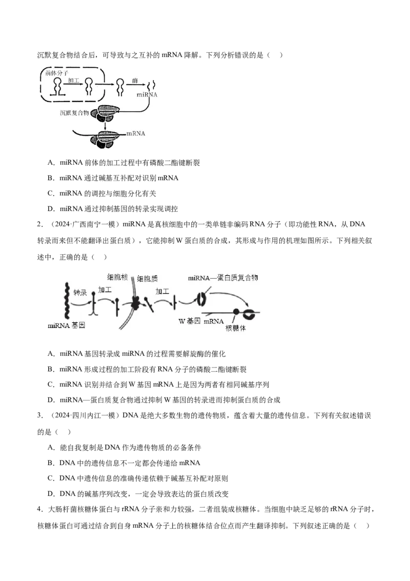 第09讲遗传的分子基础（练习）（原卷版）_2024年新高考资料_2.2024二轮复习_2024年高考生物二轮复习讲练测（新教材新高考）