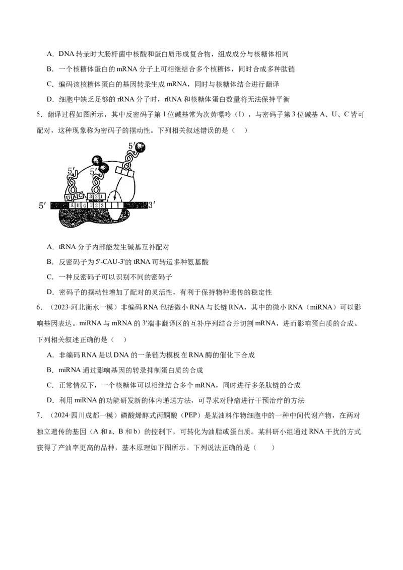 第09讲遗传的分子基础（练习）（原卷版）_2024年新高考资料_2.2024二轮复习_2024年高考生物二轮复习讲练测（新教材新高考）