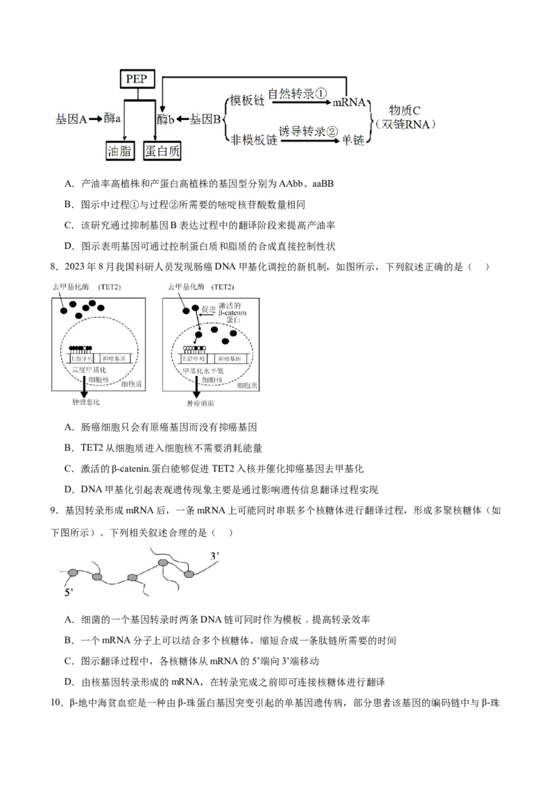 第09讲遗传的分子基础（练习）（原卷版）_2024年新高考资料_2.2024二轮复习_2024年高考生物二轮复习讲练测（新教材新高考）