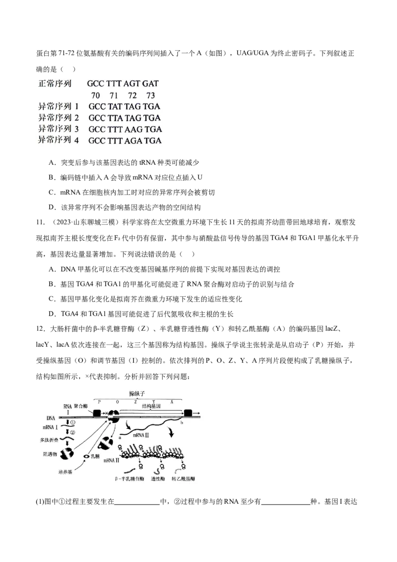 第09讲遗传的分子基础（练习）（原卷版）_2024年新高考资料_2.2024二轮复习_2024年高考生物二轮复习讲练测（新教材新高考）