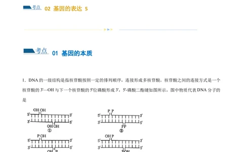 第09讲遗传的分子基础（练习）（原卷版）_2024年新高考资料_2.2024二轮复习_2024年高考生物二轮复习讲练测（新教材新高考）