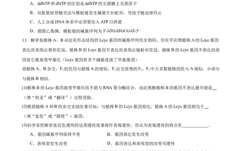 第09讲遗传的分子基础（练习）（原卷版）_2024年新高考资料_2.2024二轮复习_2024年高考生物二轮复习讲练测（新教材新高考）