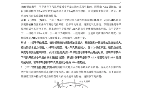 2023年高考生物二轮复习（全国版）第1篇专题突破专题2重难大题集训(一)　光合作用和细胞呼吸的实验探究与分析_通用版（老高考）复习资料_2023年复习资料_二轮复习