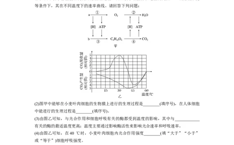 2023年高考生物二轮复习（全国版）第1篇专题突破专题2重难大题集训(一)　光合作用和细胞呼吸的实验探究与分析_通用版（老高考）复习资料_2023年复习资料_二轮复习