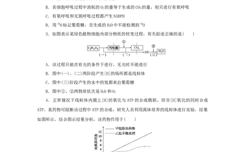 2023版新教材高考生物微专题小练习专练21细胞呼吸有氧呼吸202208091186_通用版（老高考）复习资料_2023年复习资料_一轮复习_2023届高考生物一轮微专题100练