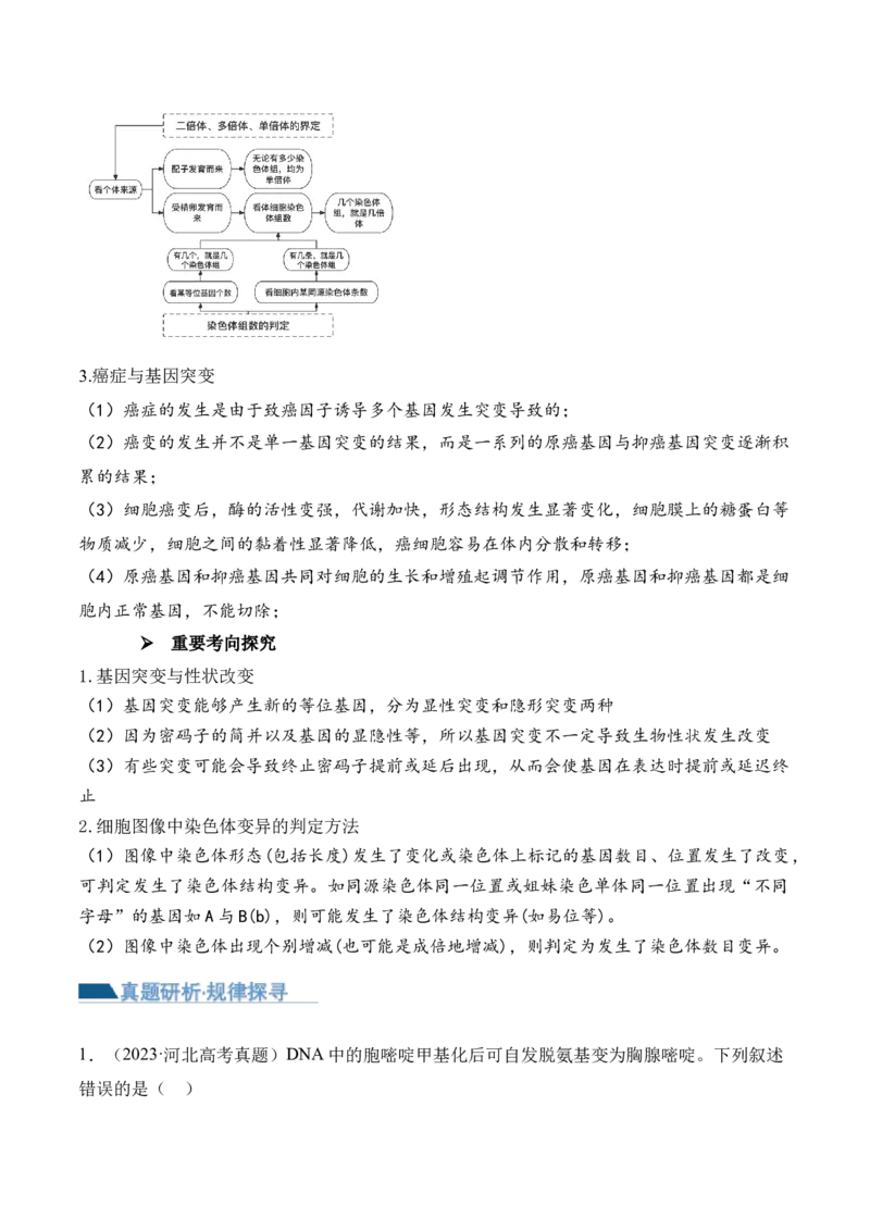 第10讲生物的变异和进化（讲义）原卷版_2024年新高考资料_2.2024二轮复习_2024年高考生物二轮复习讲练测（新教材新高考）