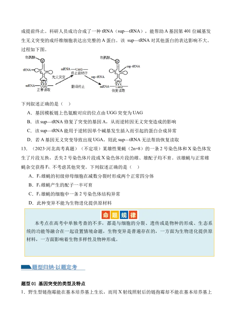 第10讲生物的变异和进化（讲义）原卷版_2024年新高考资料_2.2024二轮复习_2024年高考生物二轮复习讲练测（新教材新高考）