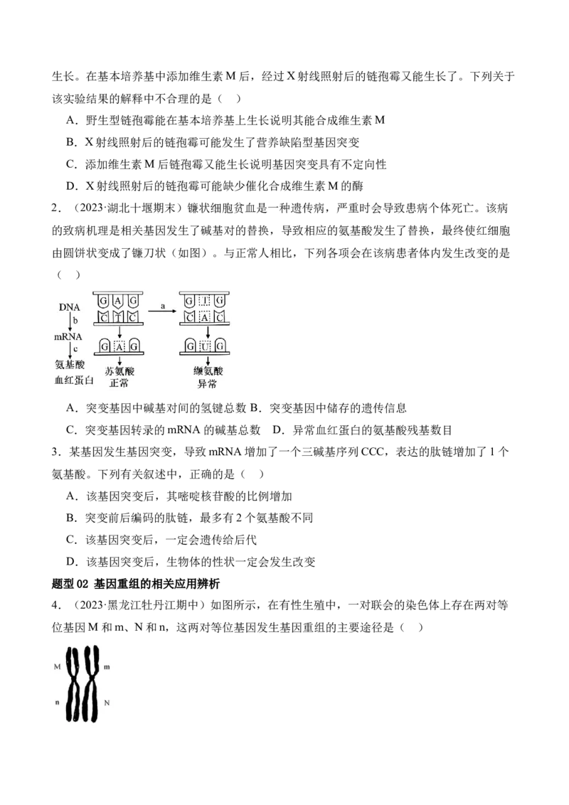 第10讲生物的变异和进化（讲义）原卷版_2024年新高考资料_2.2024二轮复习_2024年高考生物二轮复习讲练测（新教材新高考）