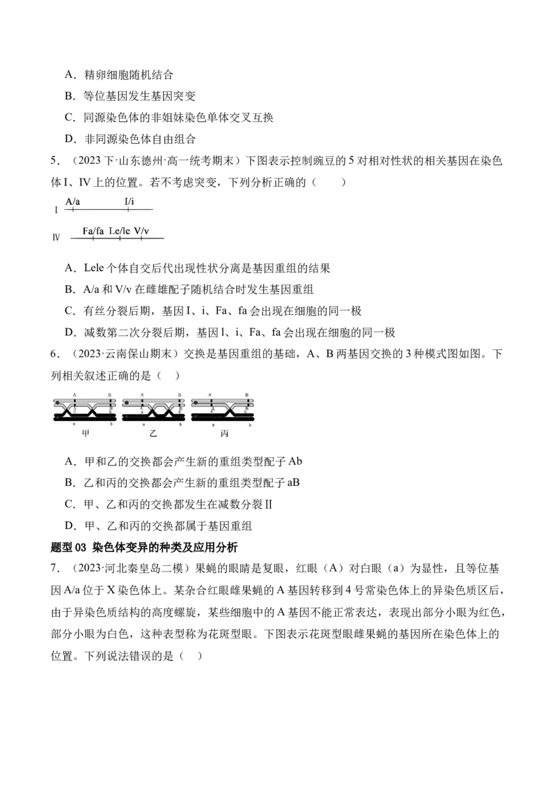 第10讲生物的变异和进化（讲义）原卷版_2024年新高考资料_2.2024二轮复习_2024年高考生物二轮复习讲练测（新教材新高考）