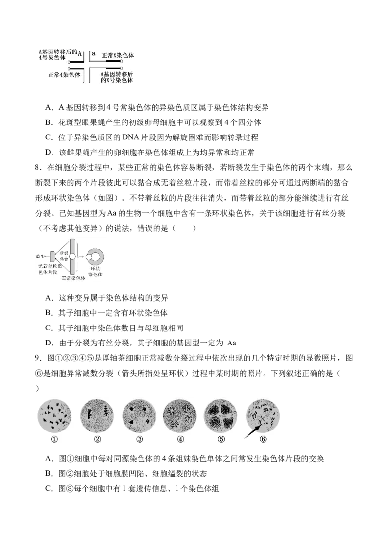第10讲生物的变异和进化（讲义）原卷版_2024年新高考资料_2.2024二轮复习_2024年高考生物二轮复习讲练测（新教材新高考）