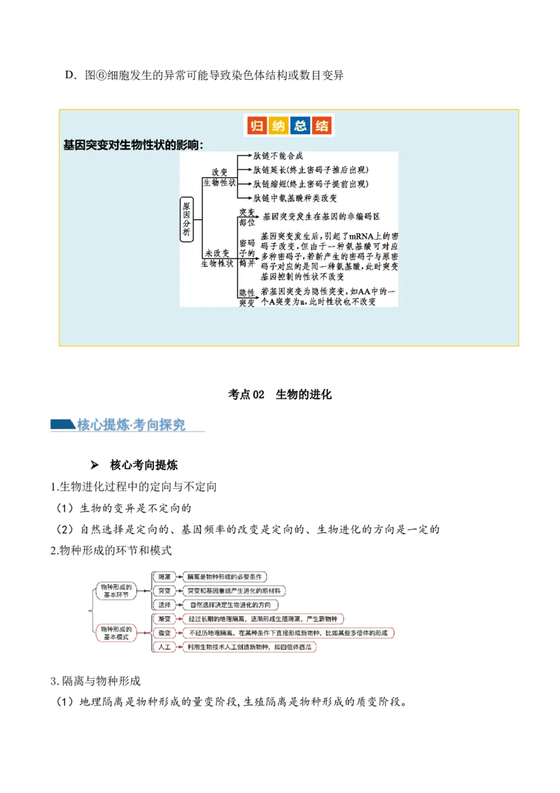 第10讲生物的变异和进化（讲义）原卷版_2024年新高考资料_2.2024二轮复习_2024年高考生物二轮复习讲练测（新教材新高考）