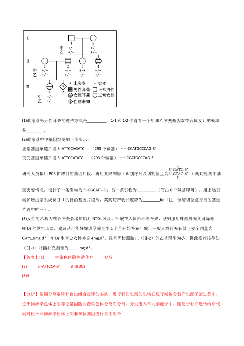 知识清单22基因工程（解析版）_2024年新高考资料_1.2024一轮复习_2024年高考生物一轮复习知识清单