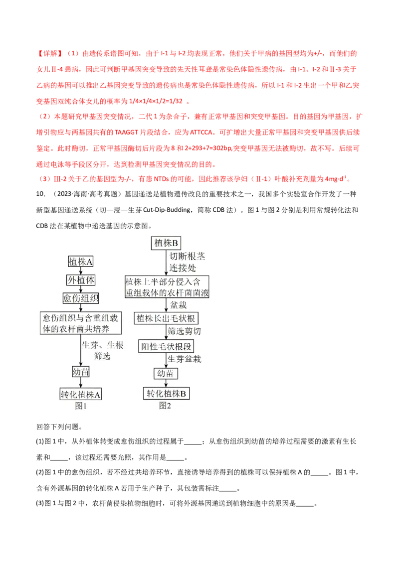 知识清单22基因工程（解析版）_2024年新高考资料_1.2024一轮复习_2024年高考生物一轮复习知识清单