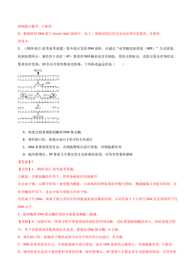 知识清单22基因工程（解析版）_2024年新高考资料_1.2024一轮复习_2024年高考生物一轮复习知识清单