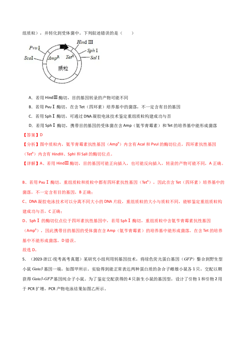 知识清单22基因工程（解析版）_2024年新高考资料_1.2024一轮复习_2024年高考生物一轮复习知识清单