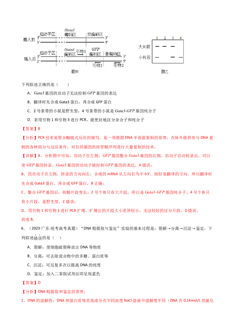 知识清单22基因工程（解析版）_2024年新高考资料_1.2024一轮复习_2024年高考生物一轮复习知识清单