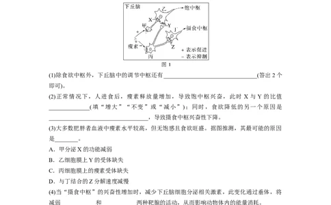 2023年高考生物二轮复习（全国版）第1篇专题突破专题6重难大题集训(四)　个体稳态的调节过程_通用版（老高考）复习资料_2023年复习资料_二轮复习