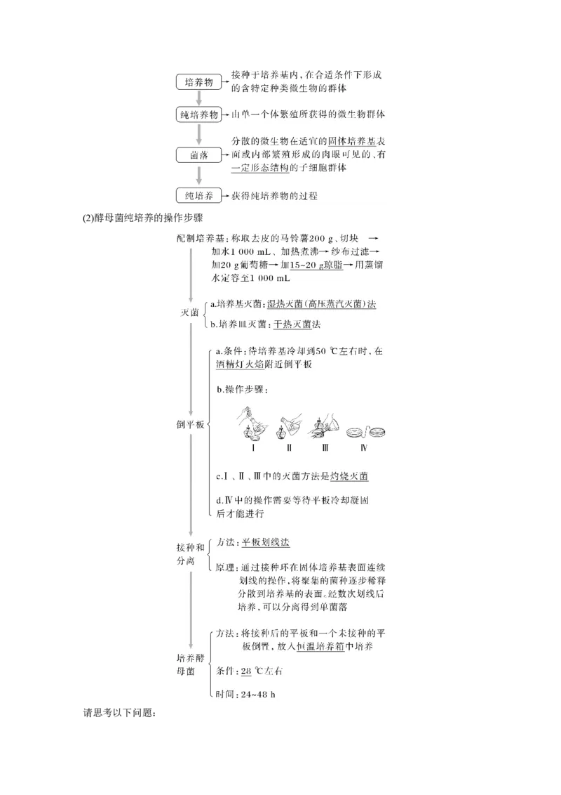 2023年高考生物一轮复习（新人教新高考）第10单元第2课时　微生物的培养技术及应用_新高考复习资料_2023年新高考复习资料_一轮复习_2023年新高考大一轮复习讲义