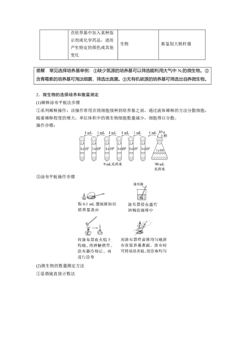 2023年高考生物一轮复习（新人教新高考）第10单元第2课时　微生物的培养技术及应用_新高考复习资料_2023年新高考复习资料_一轮复习_2023年新高考大一轮复习讲义