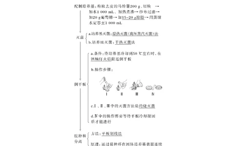 2023年高考生物一轮复习（新人教新高考）第10单元第2课时　微生物的培养技术及应用_新高考复习资料_2023年新高考复习资料_一轮复习_2023年新高考大一轮复习讲义