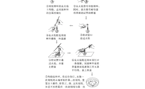 2023年高考生物一轮复习（新人教新高考）第10单元第2课时　微生物的培养技术及应用_新高考复习资料_2023年新高考复习资料_一轮复习_2023年新高考大一轮复习讲义
