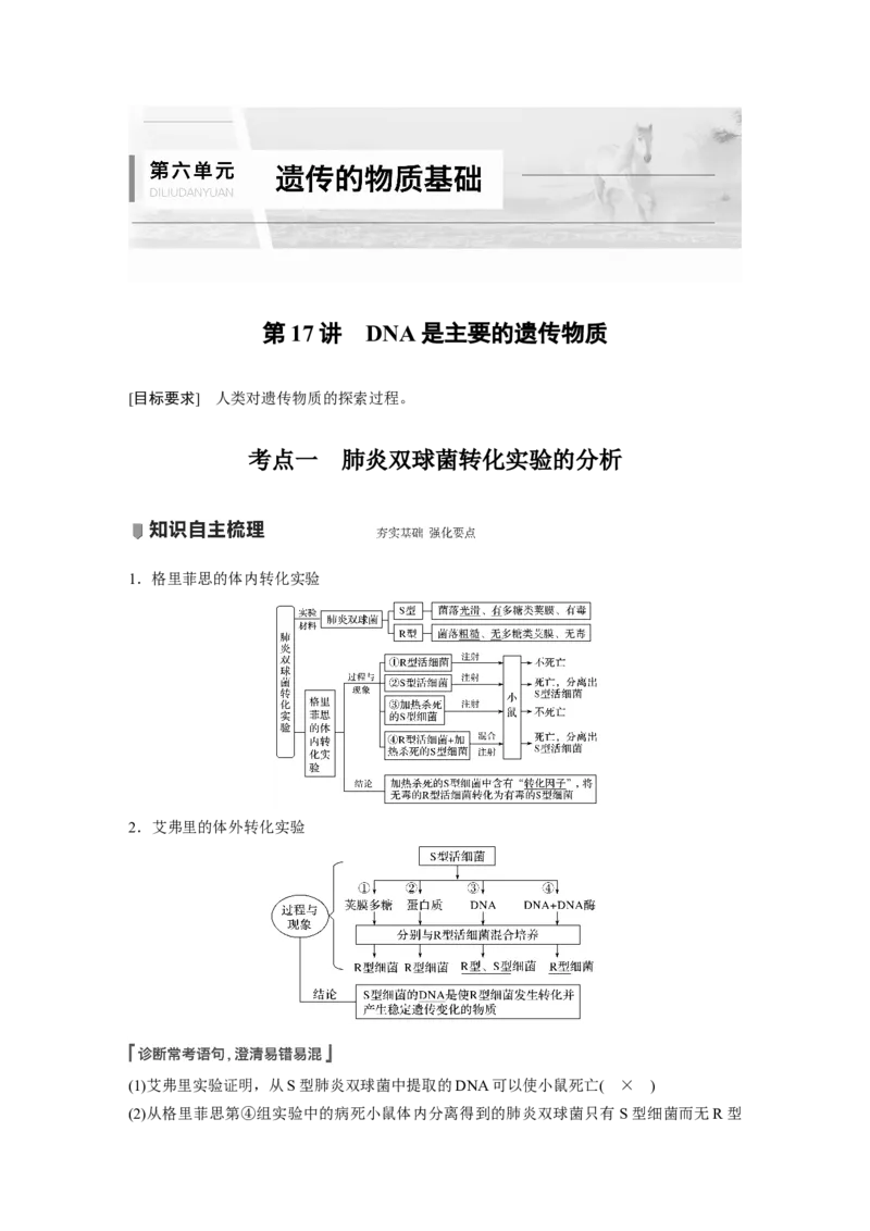 2022年高考生物一轮复习第6单元第17讲　DNA是主要的遗传物质_新高考复习资料_2022年新高考复习资料_2022年一轮复习最新版_1.2022年高考生物一轮复习全国通用版