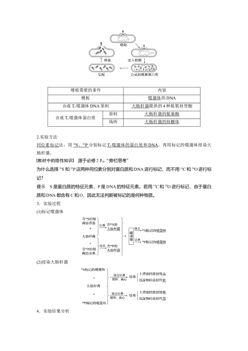2022年高考生物一轮复习第6单元第17讲　DNA是主要的遗传物质_新高考复习资料_2022年新高考复习资料_2022年一轮复习最新版_1.2022年高考生物一轮复习全国通用版