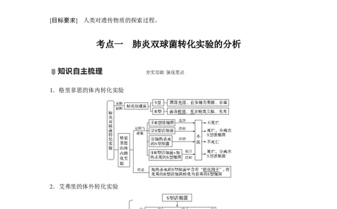 2022年高考生物一轮复习第6单元第17讲　DNA是主要的遗传物质_新高考复习资料_2022年新高考复习资料_2022年一轮复习最新版_1.2022年高考生物一轮复习全国通用版