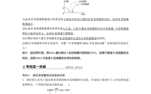 2022年高考生物一轮复习第6单元第17讲　DNA是主要的遗传物质_新高考复习资料_2022年新高考复习资料_2022年一轮复习最新版_1.2022年高考生物一轮复习全国通用版