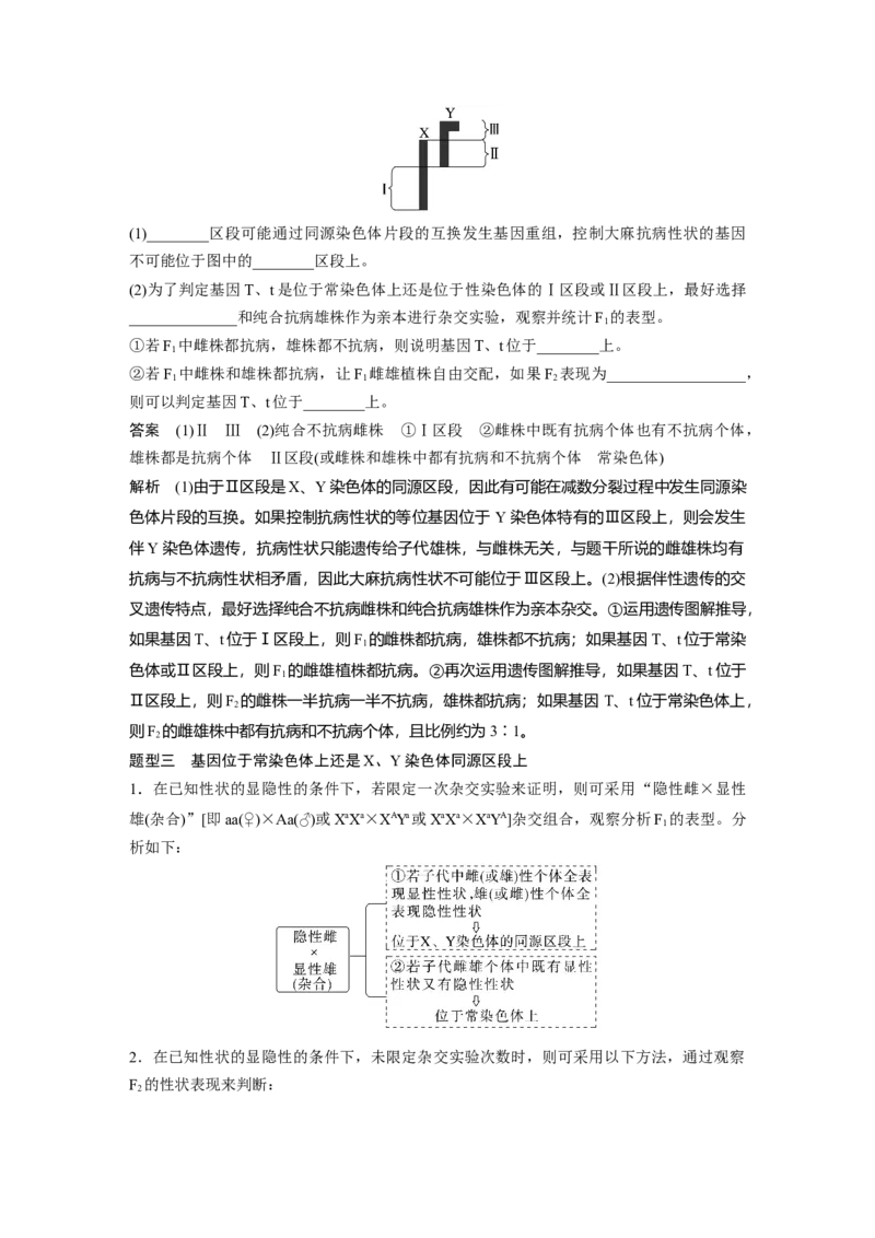 2023年高考生物一轮复习（新人教新高考）第5单元微专题五　基因在染色体上的位置判断_新高考复习资料_2023年新高考复习资料_一轮复习_2023年新高考大一轮复习讲义