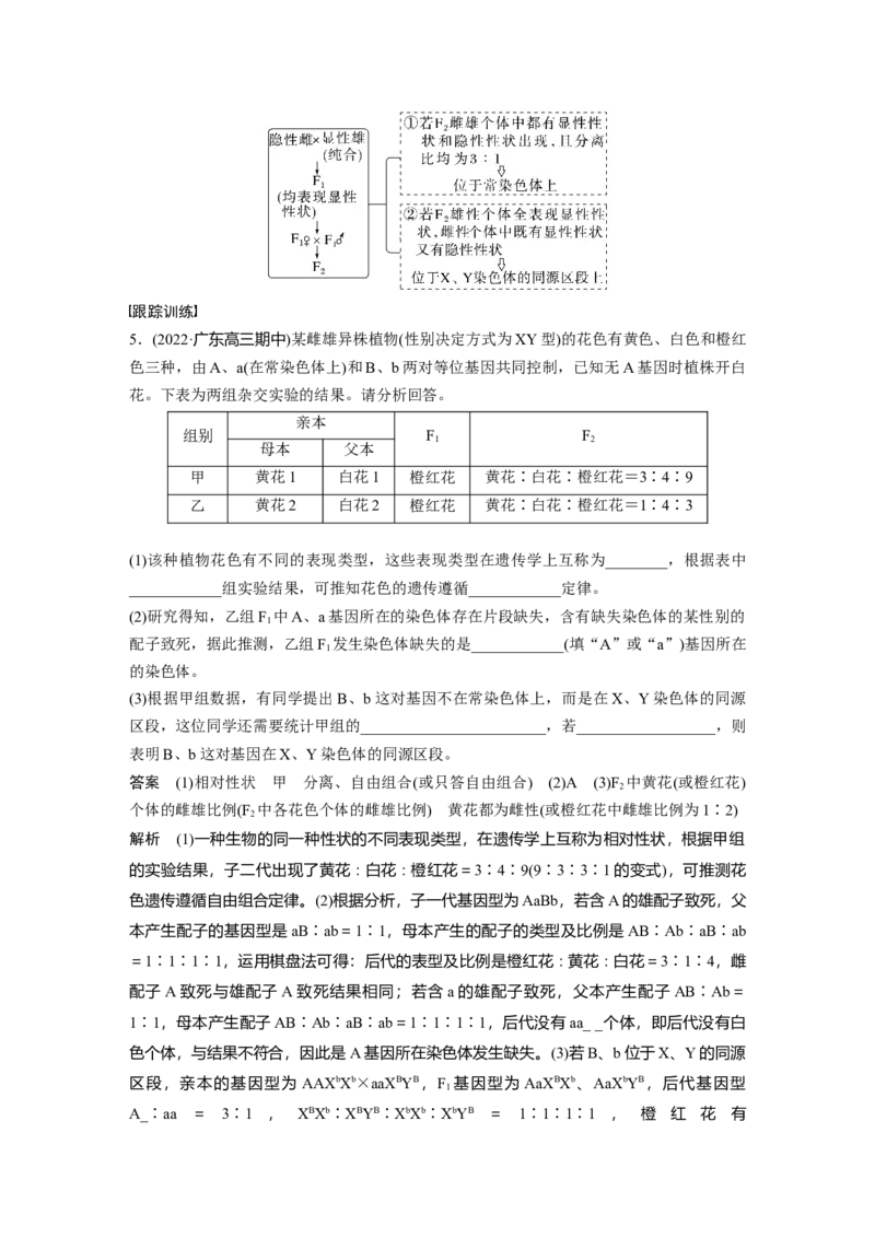 2023年高考生物一轮复习（新人教新高考）第5单元微专题五　基因在染色体上的位置判断_新高考复习资料_2023年新高考复习资料_一轮复习_2023年新高考大一轮复习讲义