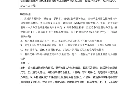2023年高考生物一轮复习（新人教新高考）第5单元微专题五　基因在染色体上的位置判断_新高考复习资料_2023年新高考复习资料_一轮复习_2023年新高考大一轮复习讲义