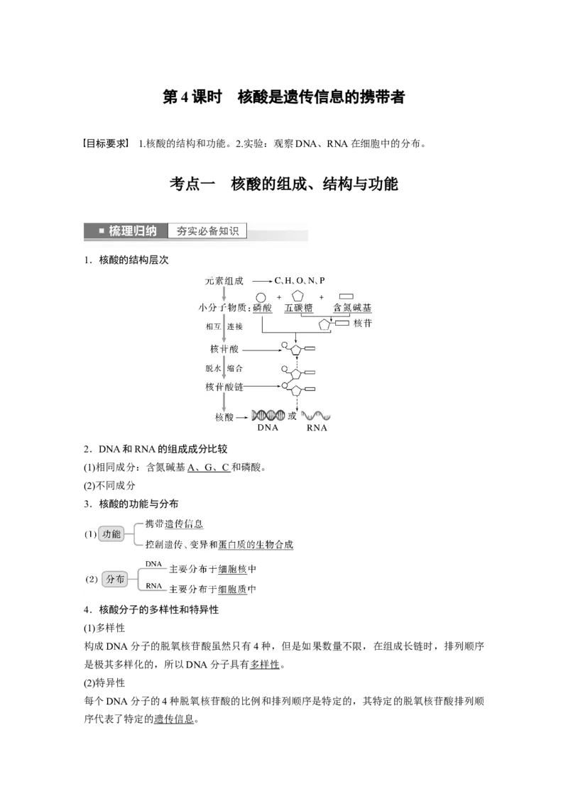 2023年高考生物一轮复习（全国版）第1单元第4课时　核酸是遗传信息的携带者_通用版（老高考）复习资料_2023年复习资料_一轮复习_2023年高考生物一轮复习讲义+课件（全国版）