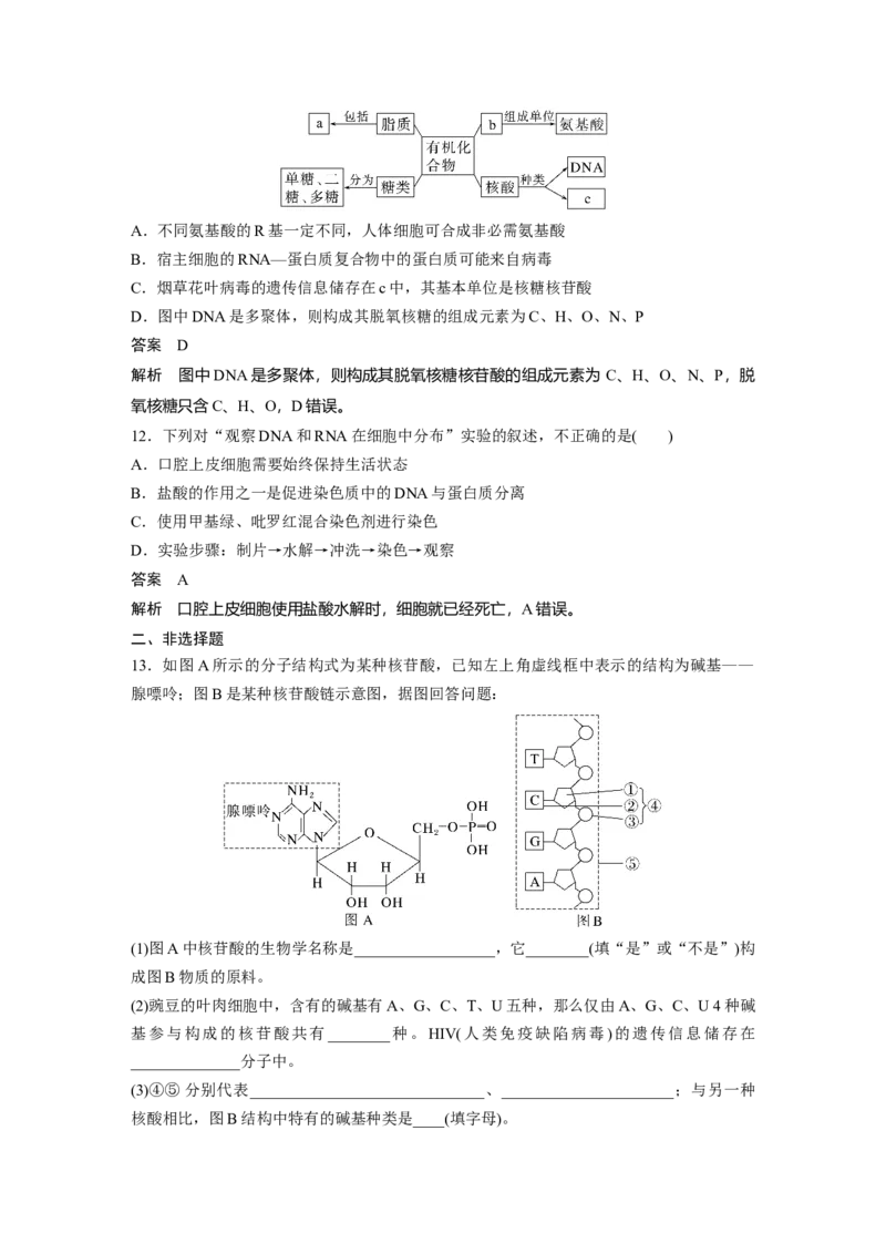 2023年高考生物一轮复习（全国版）第1单元第4课时　核酸是遗传信息的携带者_通用版（老高考）复习资料_2023年复习资料_一轮复习_2023年高考生物一轮复习讲义+课件（全国版）