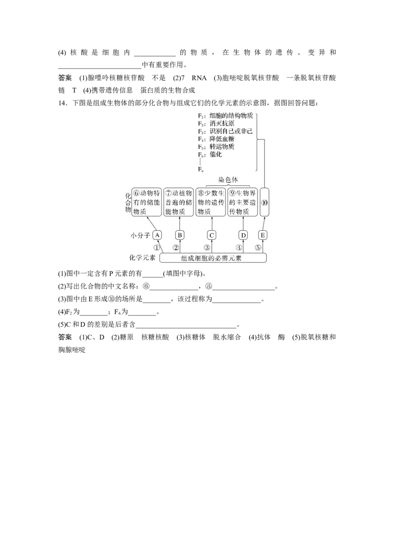 2023年高考生物一轮复习（全国版）第1单元第4课时　核酸是遗传信息的携带者_通用版（老高考）复习资料_2023年复习资料_一轮复习_2023年高考生物一轮复习讲义+课件（全国版）