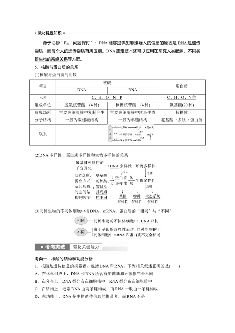 2023年高考生物一轮复习（全国版）第1单元第4课时　核酸是遗传信息的携带者_通用版（老高考）复习资料_2023年复习资料_一轮复习_2023年高考生物一轮复习讲义+课件（全国版）