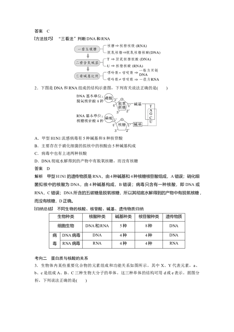 2023年高考生物一轮复习（全国版）第1单元第4课时　核酸是遗传信息的携带者_通用版（老高考）复习资料_2023年复习资料_一轮复习_2023年高考生物一轮复习讲义+课件（全国版）