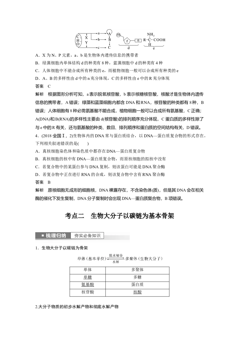 2023年高考生物一轮复习（全国版）第1单元第4课时　核酸是遗传信息的携带者_通用版（老高考）复习资料_2023年复习资料_一轮复习_2023年高考生物一轮复习讲义+课件（全国版）