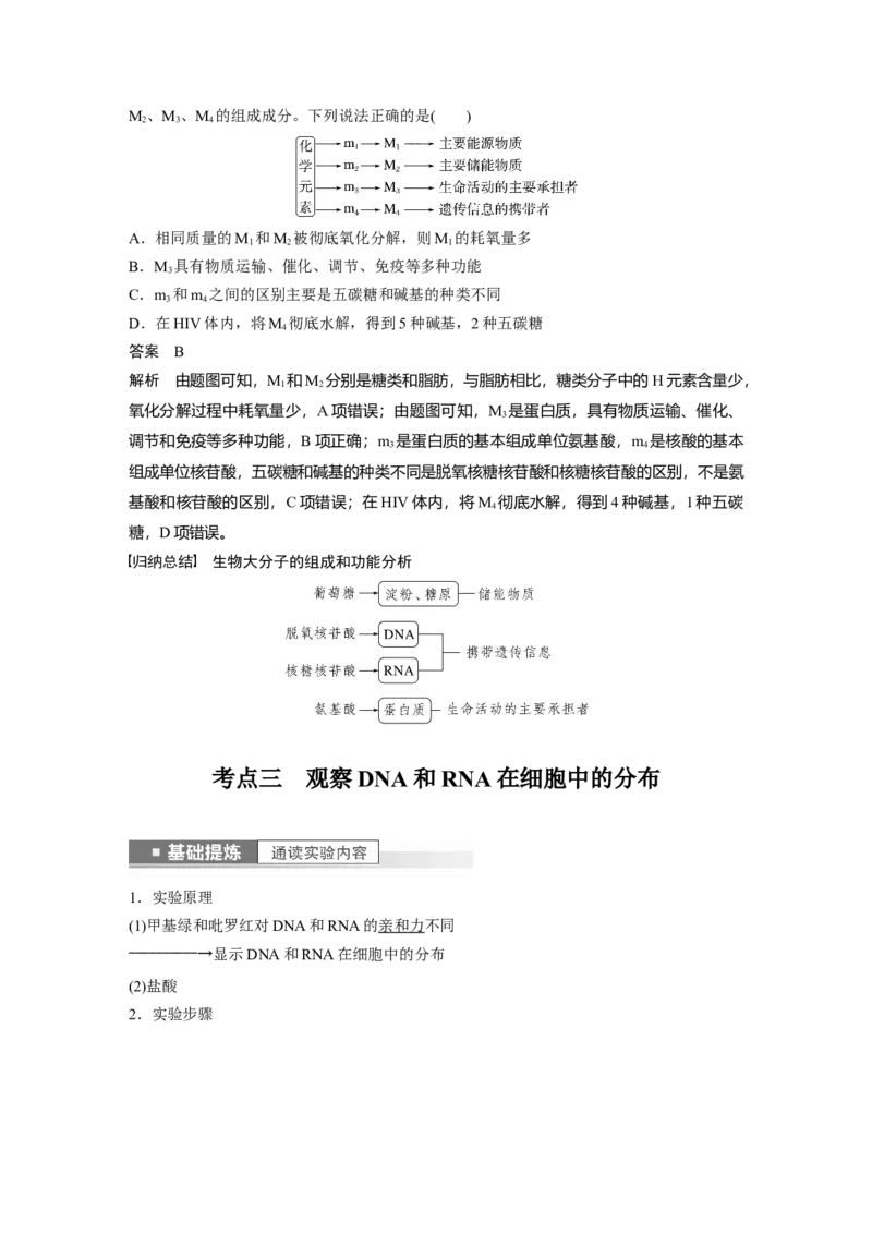 2023年高考生物一轮复习（全国版）第1单元第4课时　核酸是遗传信息的携带者_通用版（老高考）复习资料_2023年复习资料_一轮复习_2023年高考生物一轮复习讲义+课件（全国版）