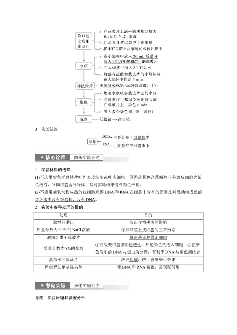 2023年高考生物一轮复习（全国版）第1单元第4课时　核酸是遗传信息的携带者_通用版（老高考）复习资料_2023年复习资料_一轮复习_2023年高考生物一轮复习讲义+课件（全国版）
