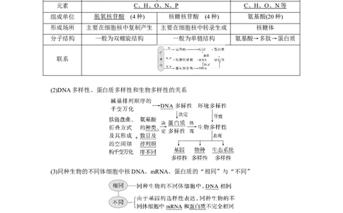 2023年高考生物一轮复习（全国版）第1单元第4课时　核酸是遗传信息的携带者_通用版（老高考）复习资料_2023年复习资料_一轮复习_2023年高考生物一轮复习讲义+课件（全国版）