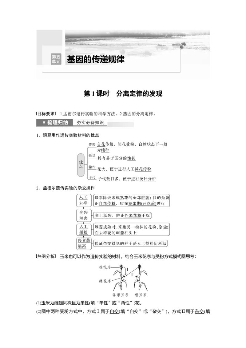 2023年高考生物一轮复习（全国版）第5单元第1课时　分离定律的发现_通用版（老高考）复习资料_2023年复习资料_一轮复习_2023年高考生物一轮复习讲义+课件（全国版）