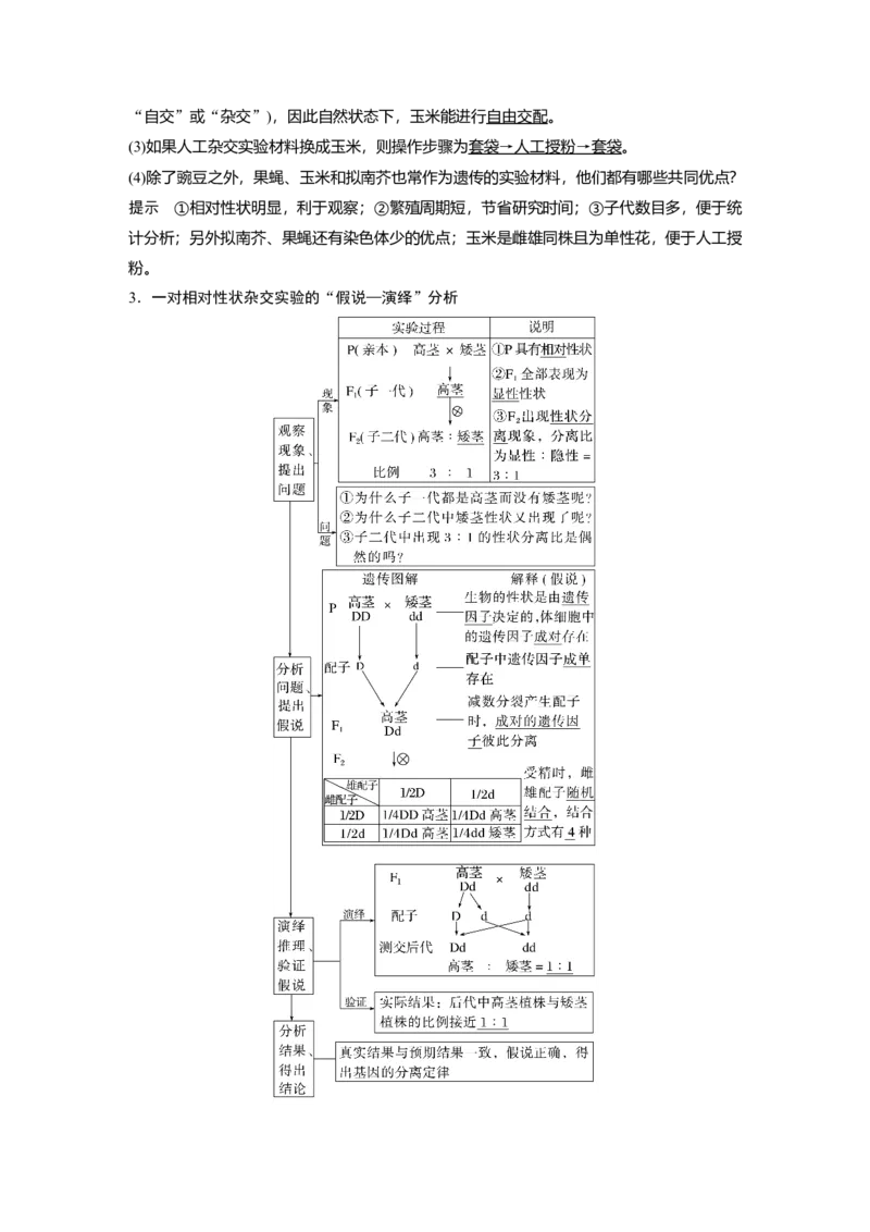 2023年高考生物一轮复习（全国版）第5单元第1课时　分离定律的发现_通用版（老高考）复习资料_2023年复习资料_一轮复习_2023年高考生物一轮复习讲义+课件（全国版）