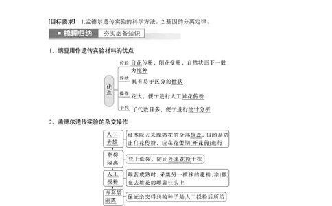 2023年高考生物一轮复习（全国版）第5单元第1课时　分离定律的发现_通用版（老高考）复习资料_2023年复习资料_一轮复习_2023年高考生物一轮复习讲义+课件（全国版）