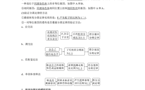 2023年高考生物一轮复习（全国版）第5单元第1课时　分离定律的发现_通用版（老高考）复习资料_2023年复习资料_一轮复习_2023年高考生物一轮复习讲义+课件（全国版）