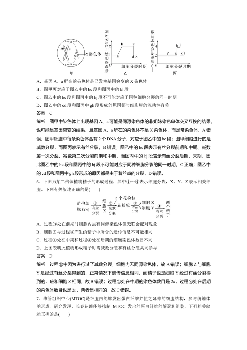 2023年高考生物一轮复习（全国版）第4单元第3课时　减数分裂和受精作用的过程分析_通用版（老高考）复习资料_2023年复习资料_一轮复习_2023年高考生物一轮复习讲义+课件（全国版）
