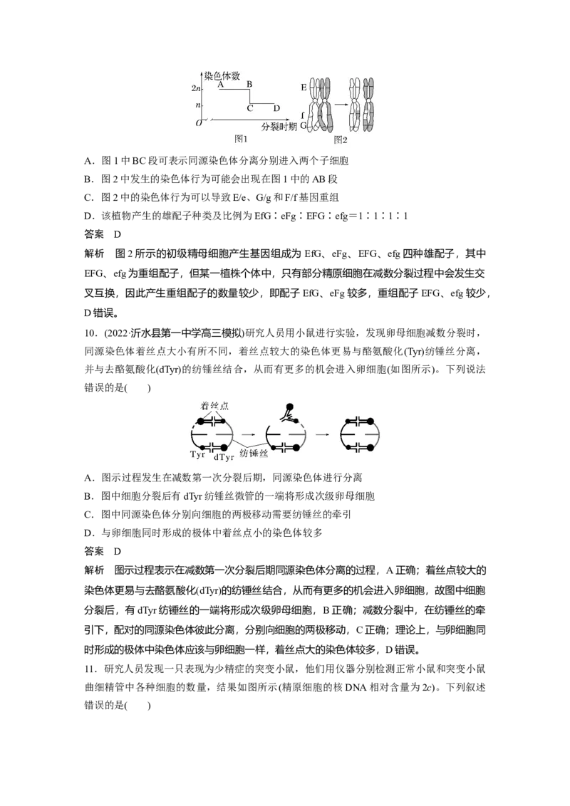 2023年高考生物一轮复习（全国版）第4单元第3课时　减数分裂和受精作用的过程分析_通用版（老高考）复习资料_2023年复习资料_一轮复习_2023年高考生物一轮复习讲义+课件（全国版）