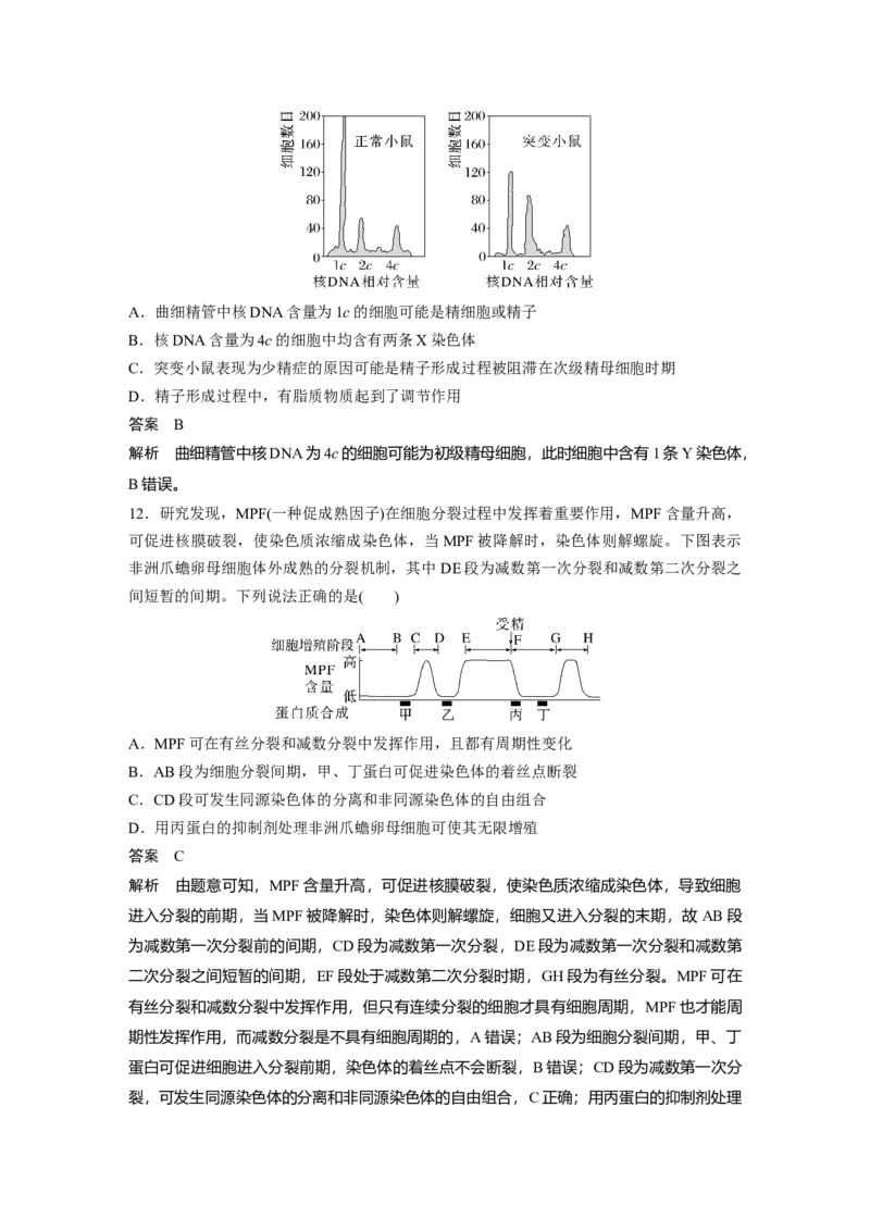 2023年高考生物一轮复习（全国版）第4单元第3课时　减数分裂和受精作用的过程分析_通用版（老高考）复习资料_2023年复习资料_一轮复习_2023年高考生物一轮复习讲义+课件（全国版）